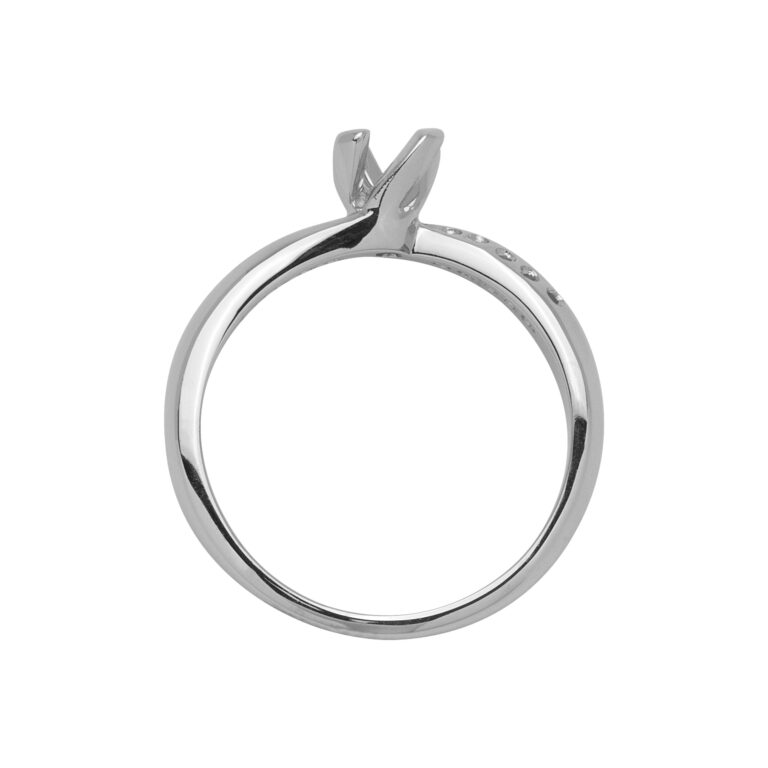 ASP 6 Anello torchon 4 griffe.